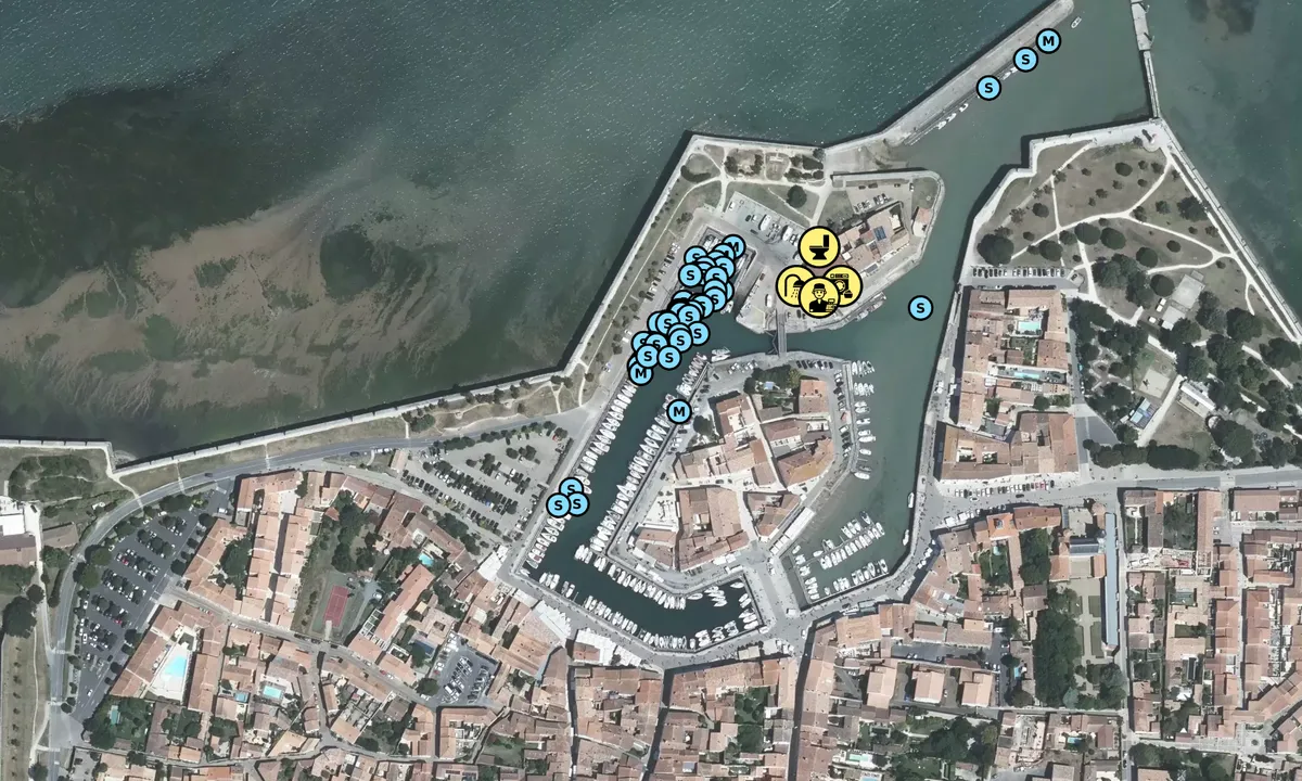 Satelite image of Saint Martin De Re