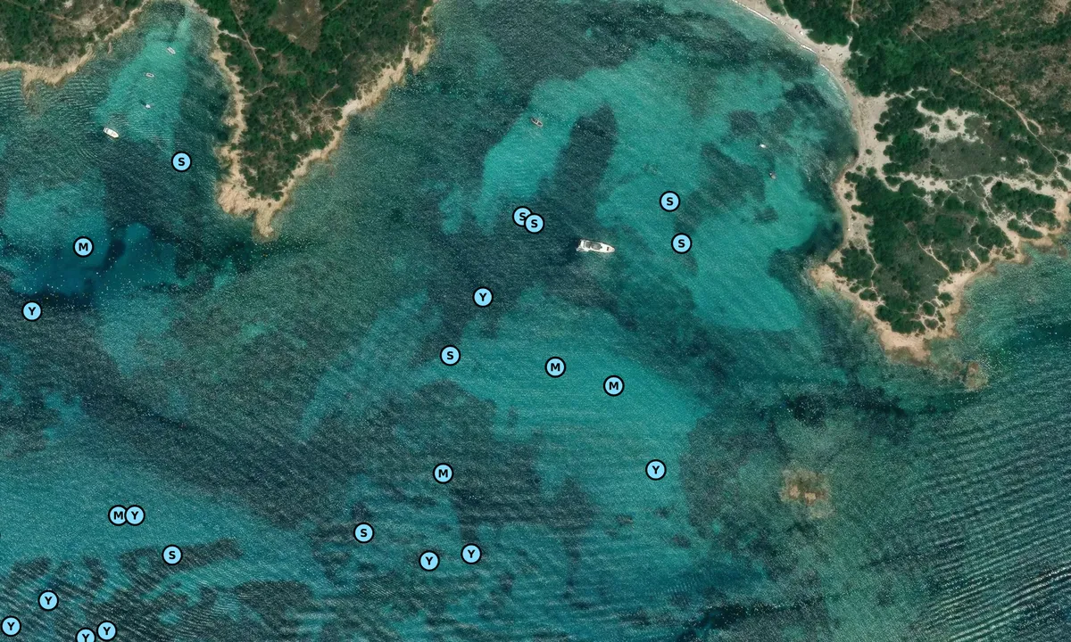 Satelite image of Salinedda