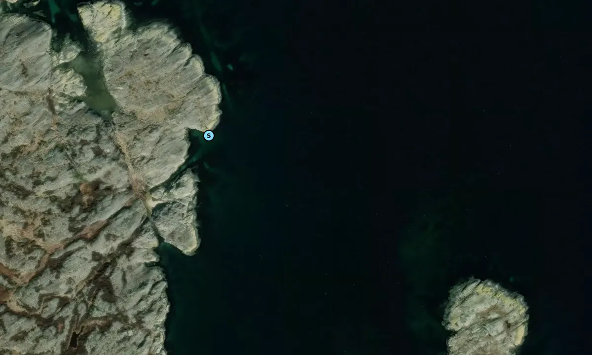 Satelite image of Sälsön