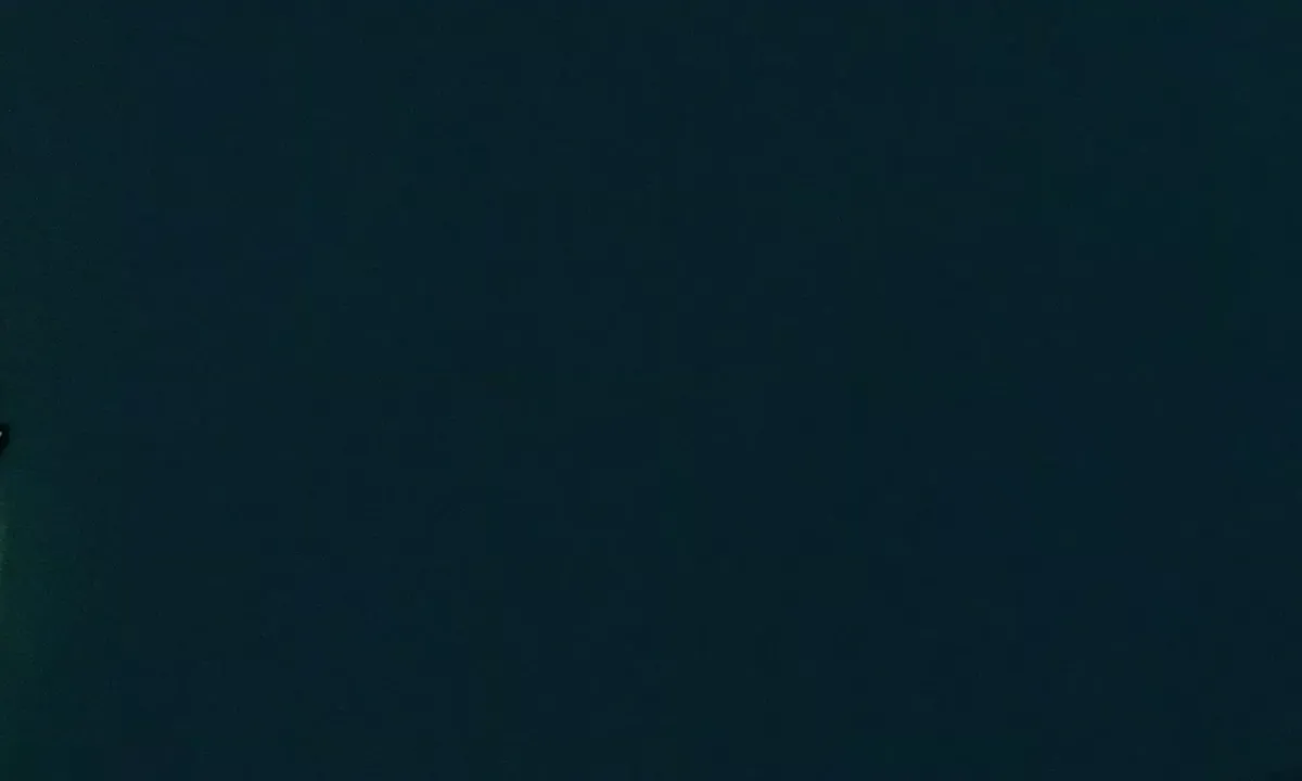 Satelite image of Salt Lake Bay