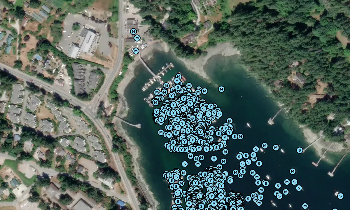 Satelite image of Salt Spring Marina
