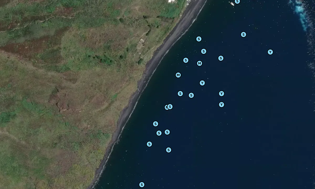 Satelite image of San Vincenzo