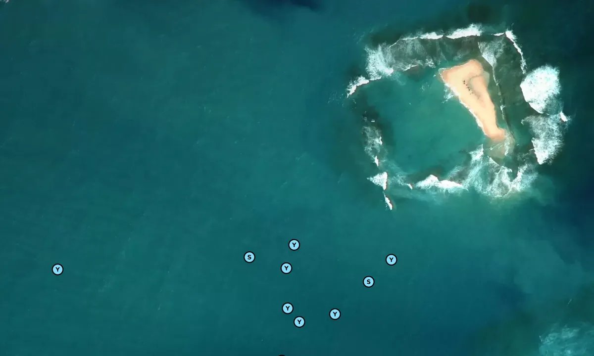 Satelite image of Sand Bar
