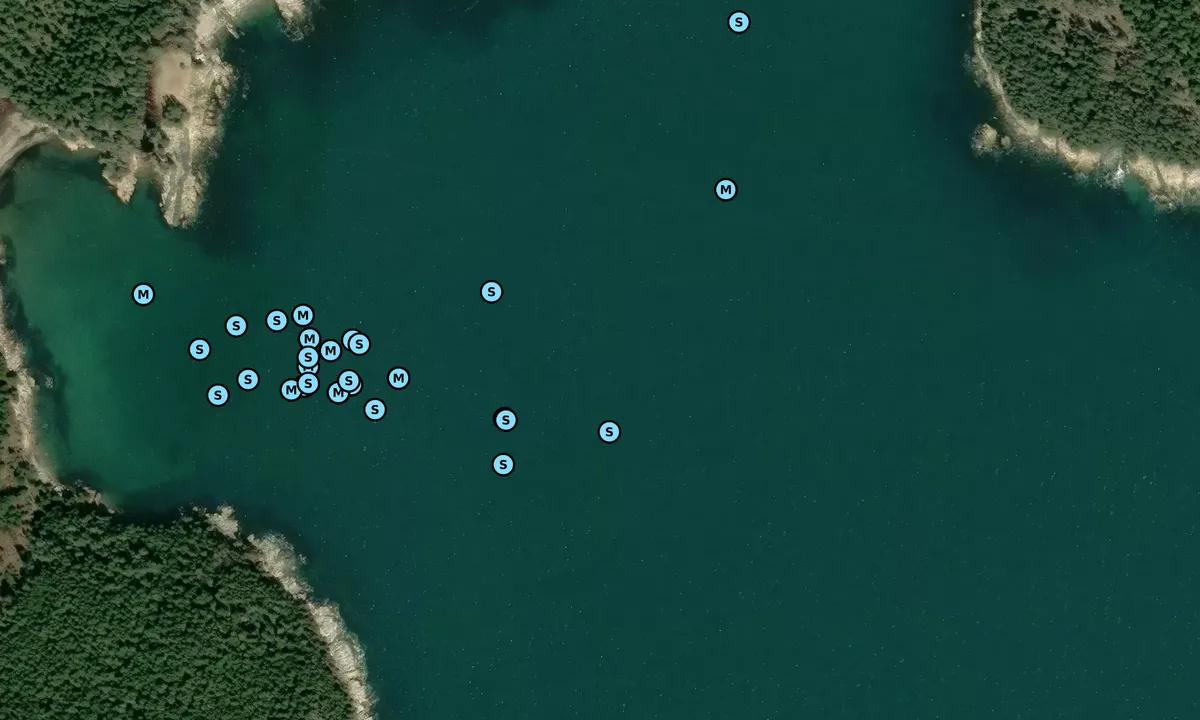 Satelite image of Sand Cove