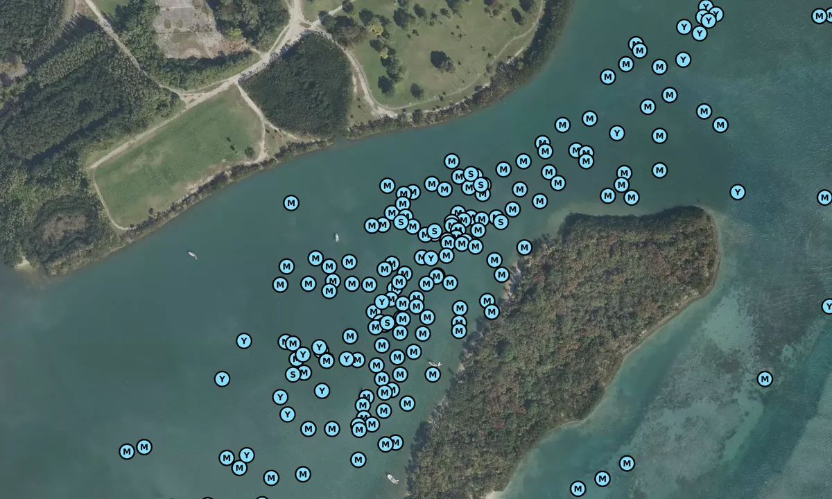 Satelite image of Sandspur Island
