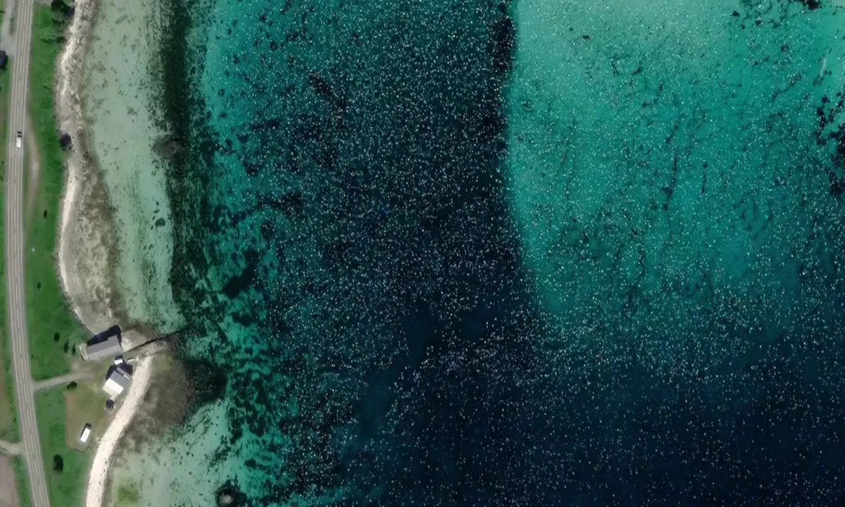 Satelite image of Sandtorg