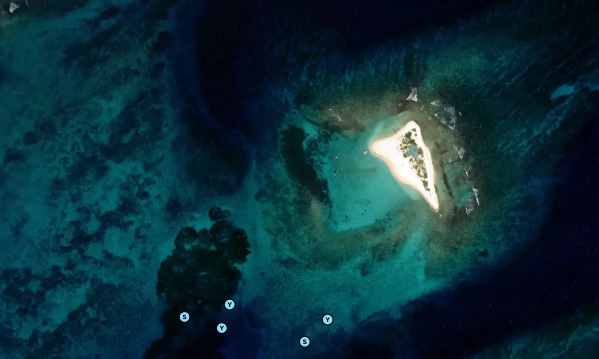 Satelite image of Sandy Island - Long Bay Village