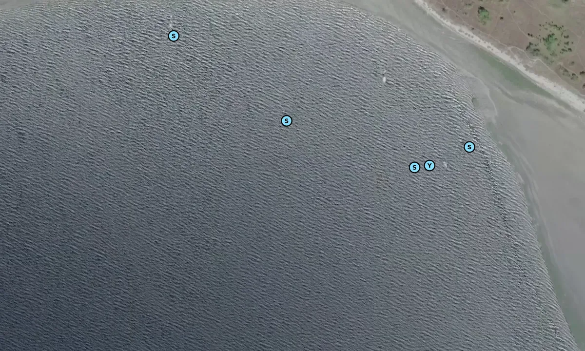 Satelite image of Sandy Island Marine Provincial Park