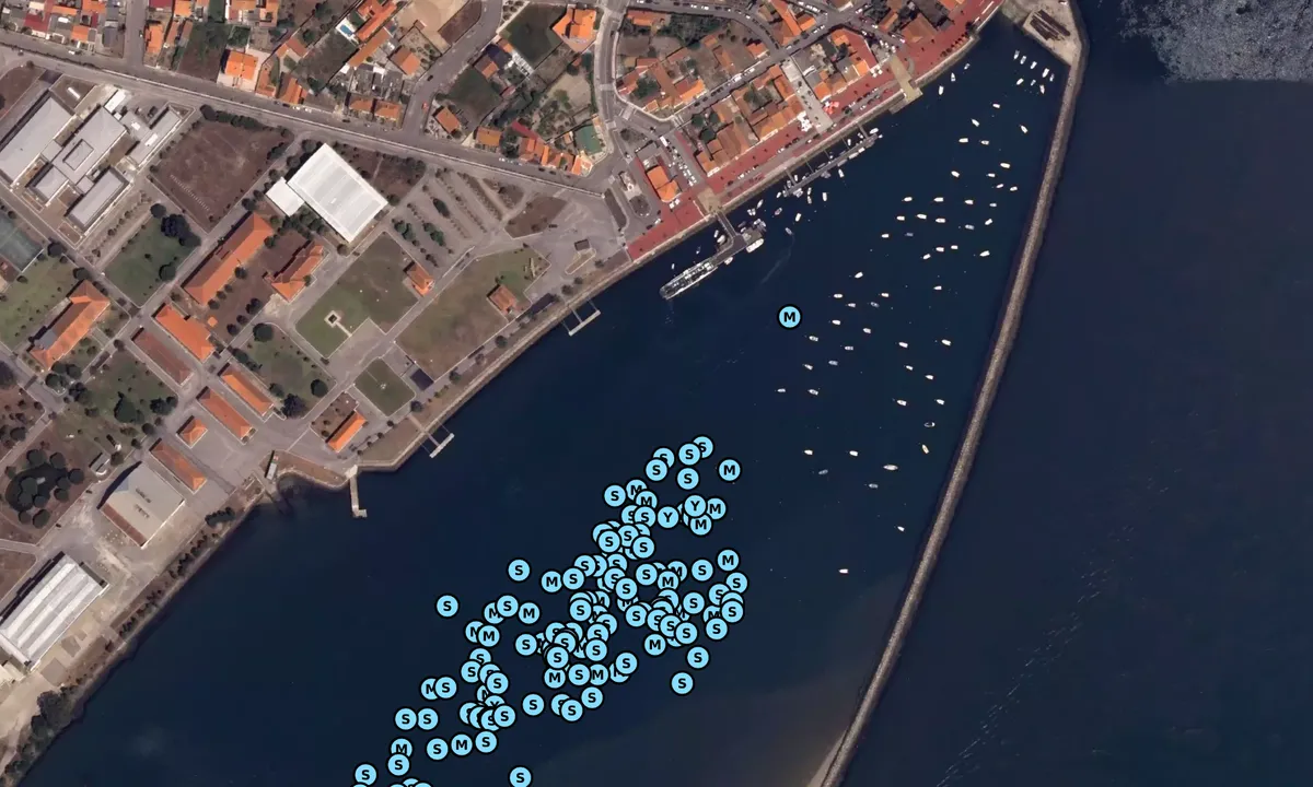 Satelite image of São Jacinto