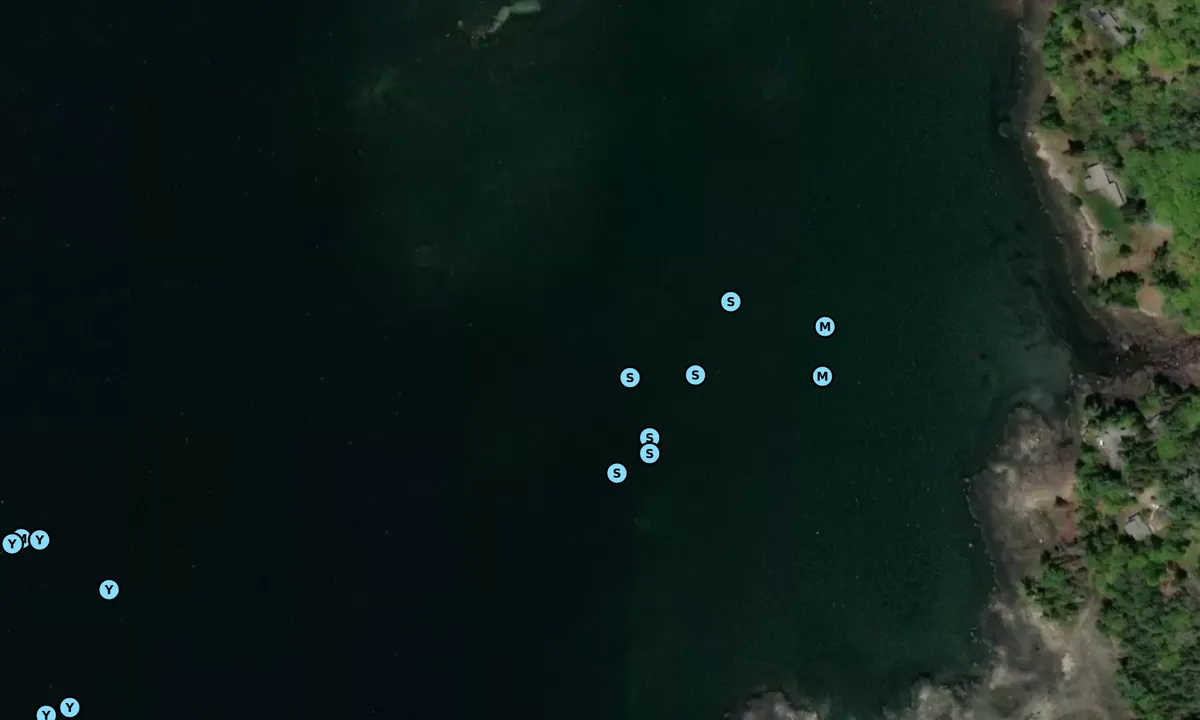 Satelite image of Sargent Cove