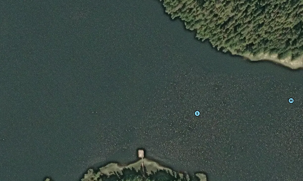 Satelite image of Sarkar Cove