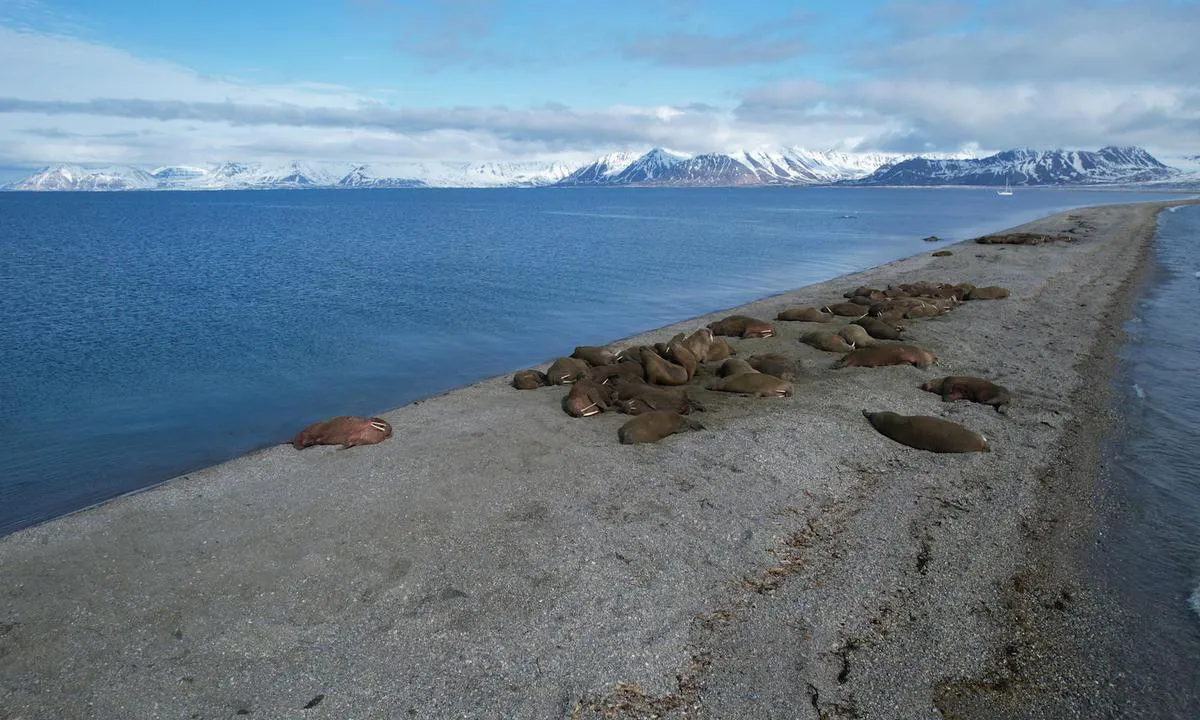 Sarstangen nord