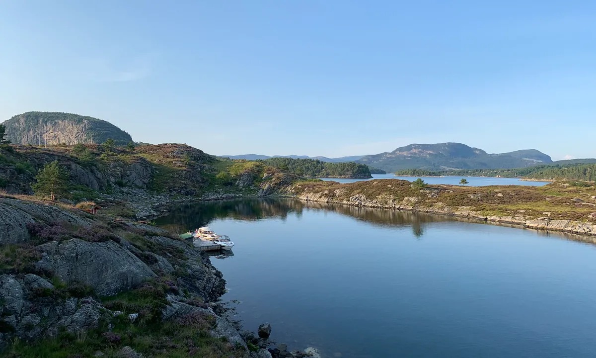 Sauøy