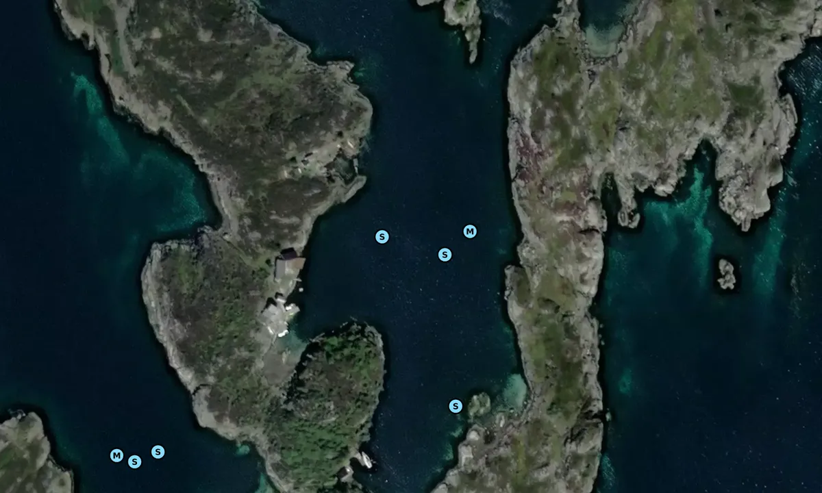 Satelite image of Sauøya - Kopervik