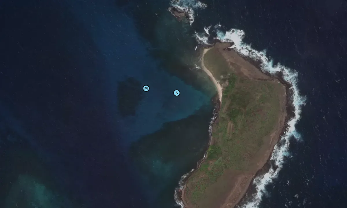Satelite image of Savan Island