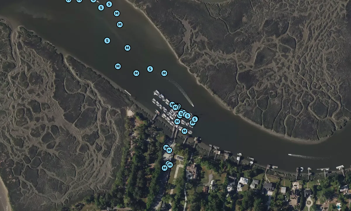Satelite image of Savannah Marina
