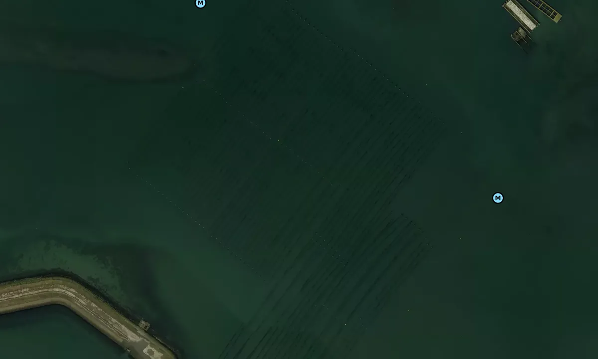 Satelite image of Schelphoek
