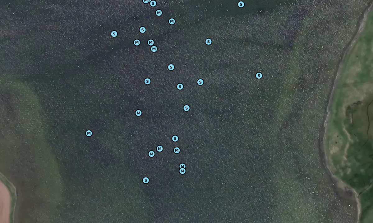 Satelite image of Schlei