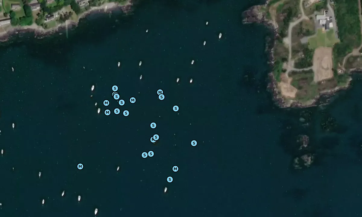 Satelite image of Schull.