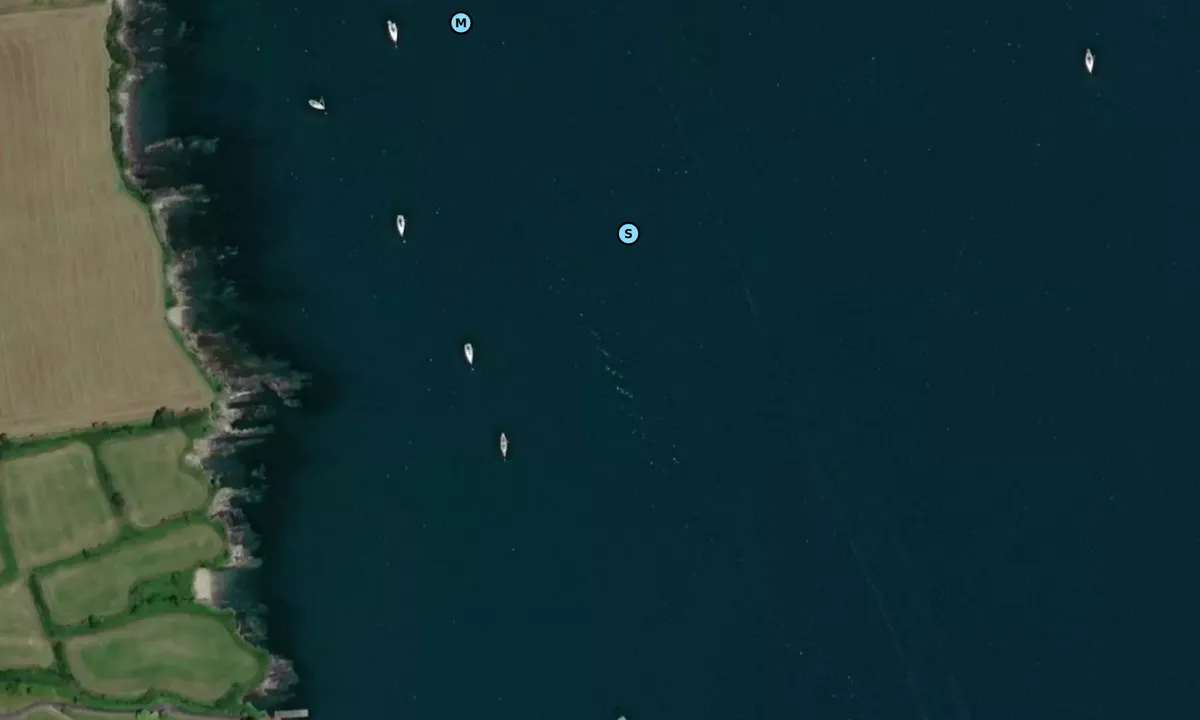 Satelite image of Schull Harbor