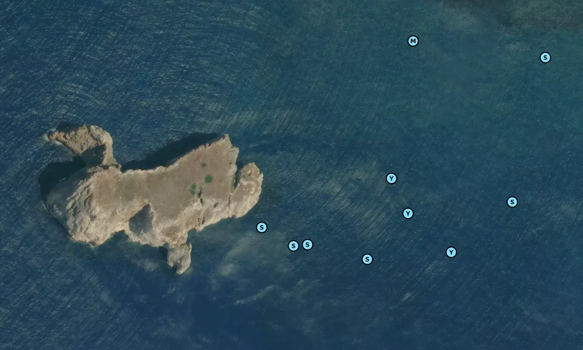 Satelite image of Scoglio Pan di Zucchero