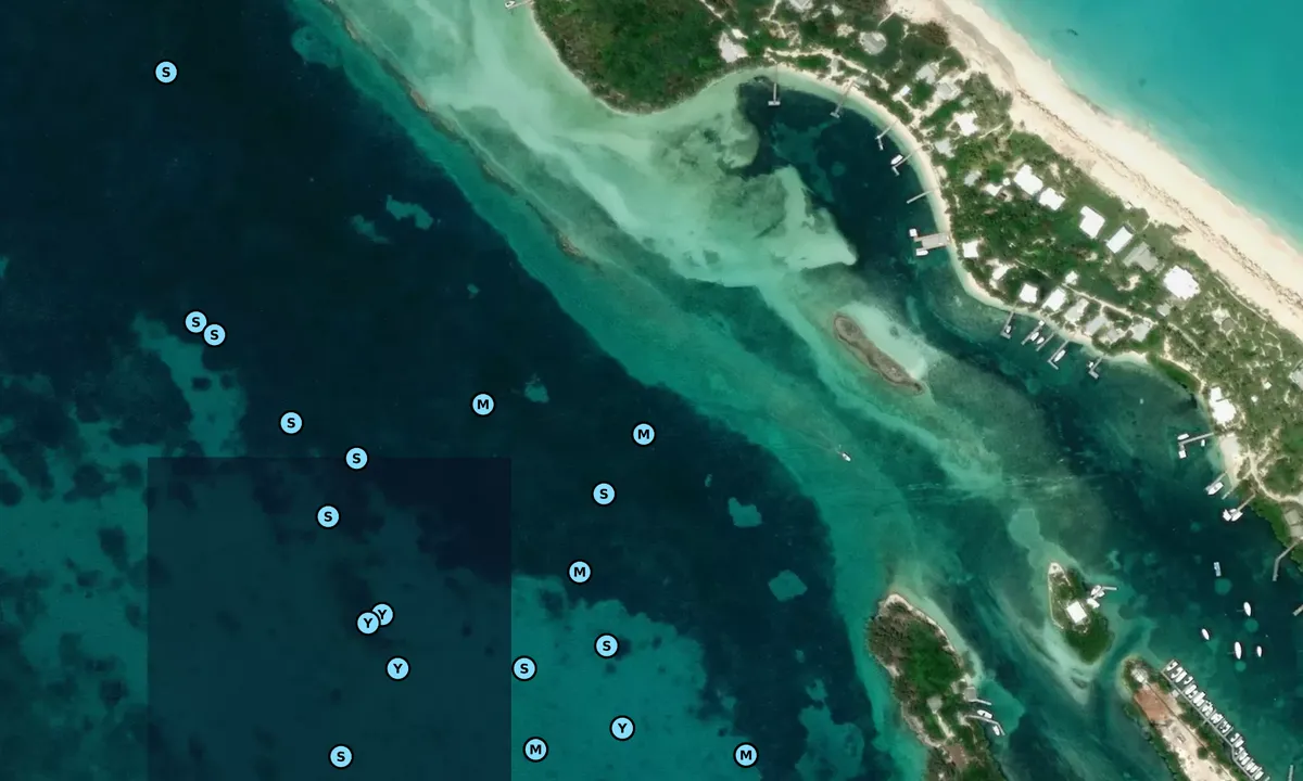 Satelite image of Scopley Rock