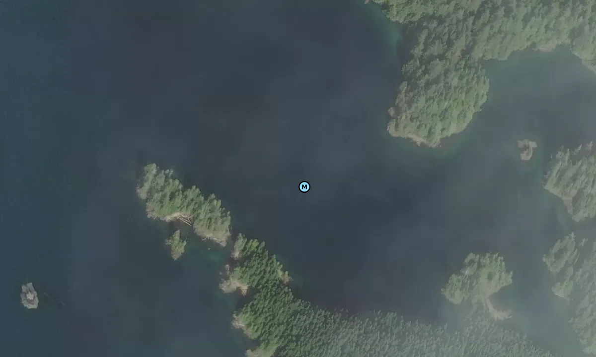 Satelite image of Scow Bay