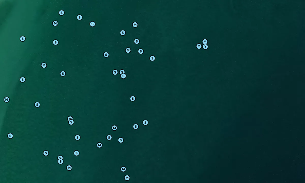 Satelite image of SE Boca Grande