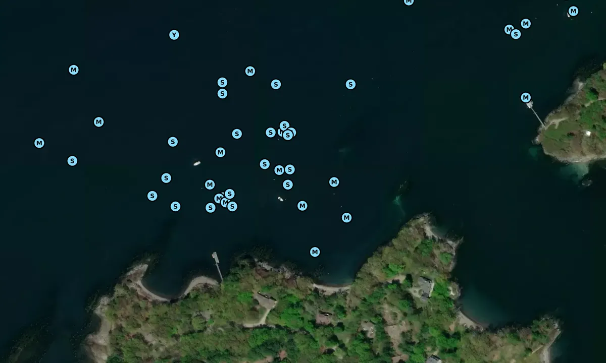 Satelite image of Seal Cove - Portland