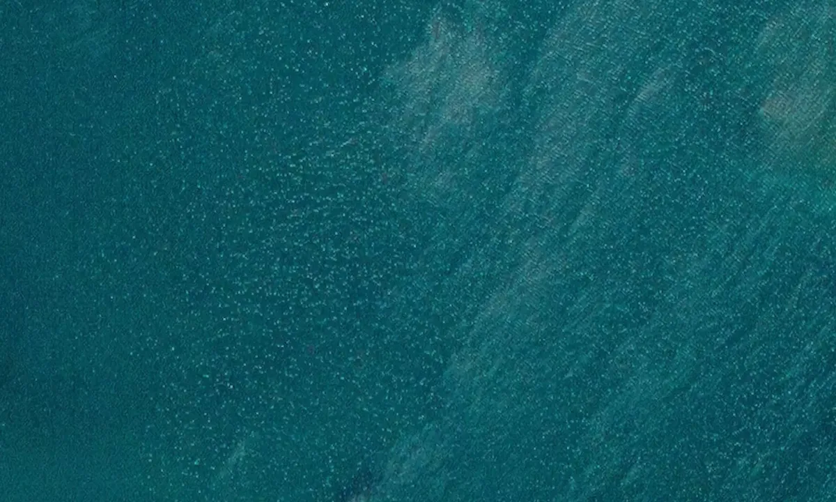 Satelite image of Sebulonbukta