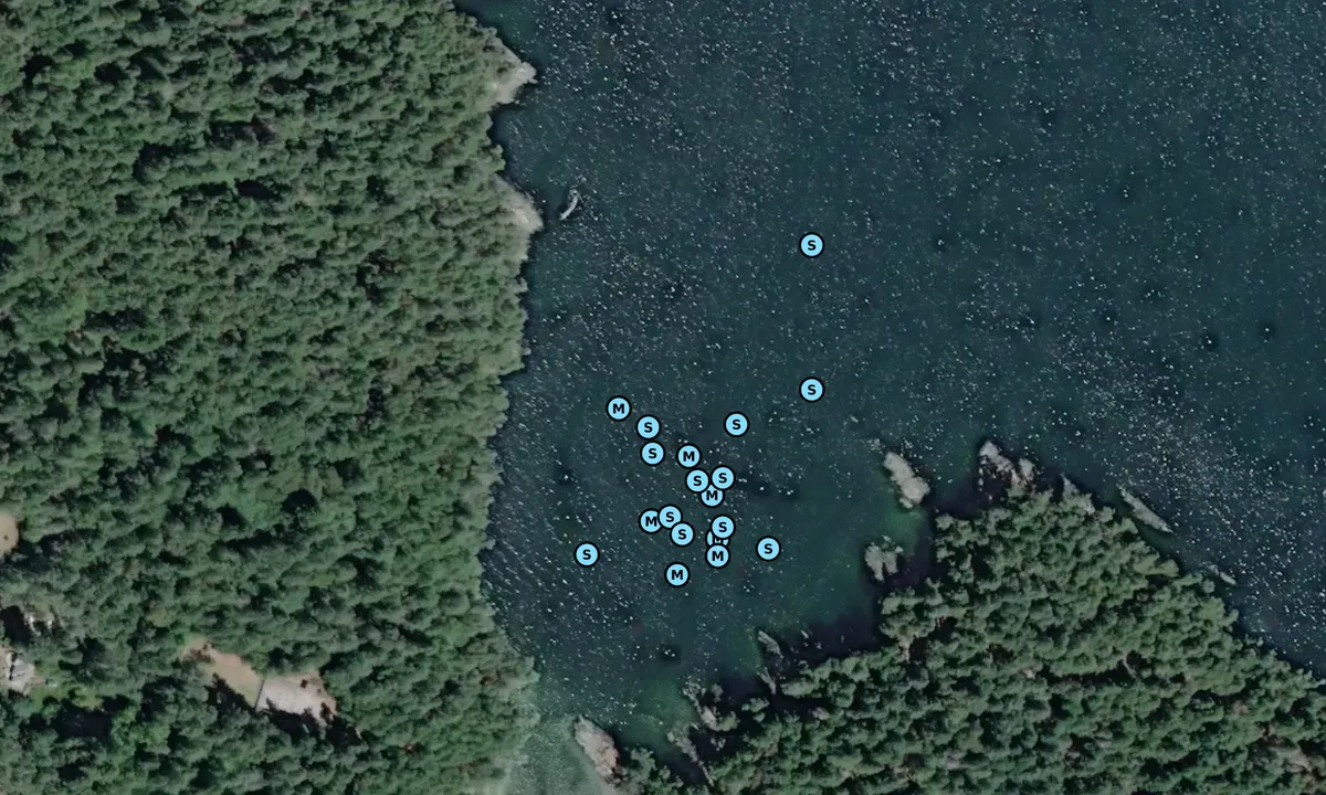 Satelite image of Secretary Islands