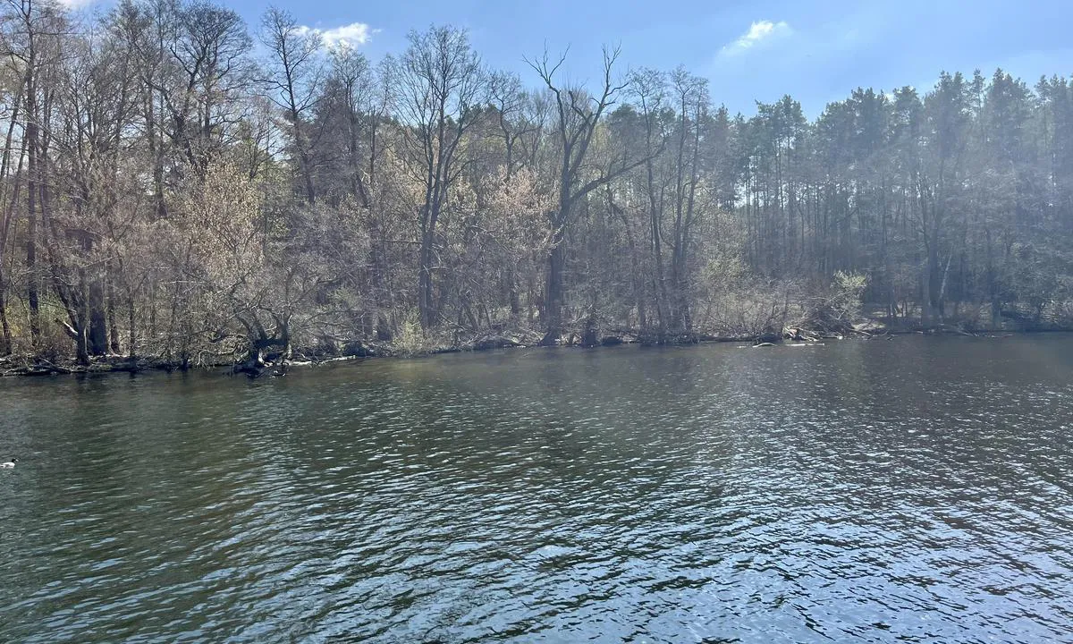 Seddinsee (Km 1, Süd-Ost-Ufer): {"base": "de", "no": "Utsikt mot s\u00f8r", "se": "Utsikt mot s\u00f6der", "en": "View to the South", "da": "Udsigt mod syd", "fr": "Vue vers le sud", "de": "Blick nach S\u00fcden", "es": "Vista hacia el sur", "it": "Vista verso sud", "pt": "Vista para o sul", "nl": "Uitzicht naar het zuiden", "pl": "Widok na po\u0142udnie", "uk": "\u0412\u0438\u0434 \u043d\u0430 \u043f\u0456\u0432\u0434\u0435\u043d\u044c", "ro": "Privire spre sud", "tr": "G\u00fcney y\u00f6n\u00fcne bak\u0131\u015f", "el": "\u0398\u03ad\u03b1 \u03c0\u03c1\u03bf\u03c2 \u03c4\u03bf\u03bd \u03bd\u03cc\u03c4\u03bf", "cs": "Pohled na jih", "hu": "Kil\u00e1t\u00e1s d\u00e9l fel\u00e9", "fi": "N\u00e4kym\u00e4 etel\u00e4\u00e4n", "bg": "\u041f\u043e\u0433\u043b\u0435\u0434 \u043d\u0430 \u044e\u0433", "sr": "Pogled prema jugu", "et": "Pilk l\u00f5unasse", "lv": "Skats uz dienvidiem", "lt": "\u017dvilgsnis \u012f pietus"}