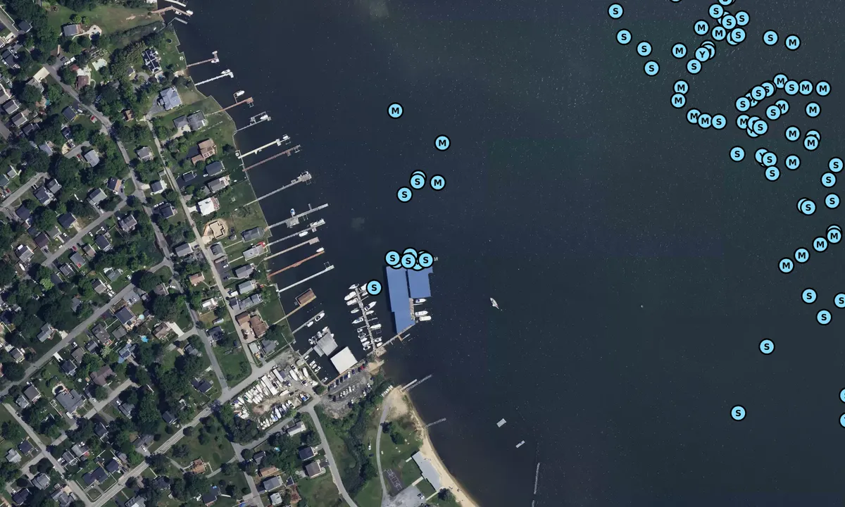 Satelite image of Selby Bay Marina