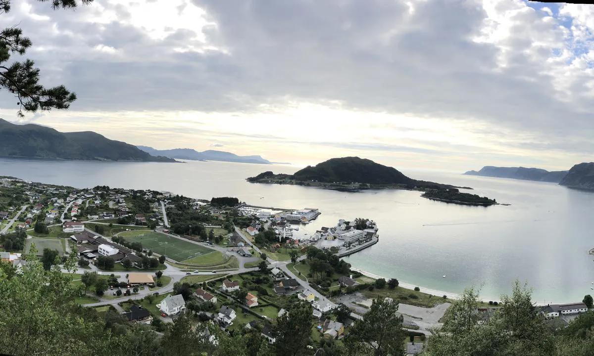 Seljevågen Gjestehamn: Utsikt mot havna og sentrum fra en veldig fin tursti opp fra den flotte sandstranda .