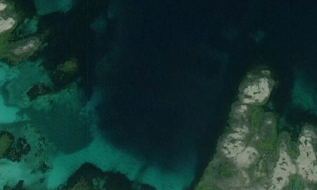 Satelite image of Selsøyvika