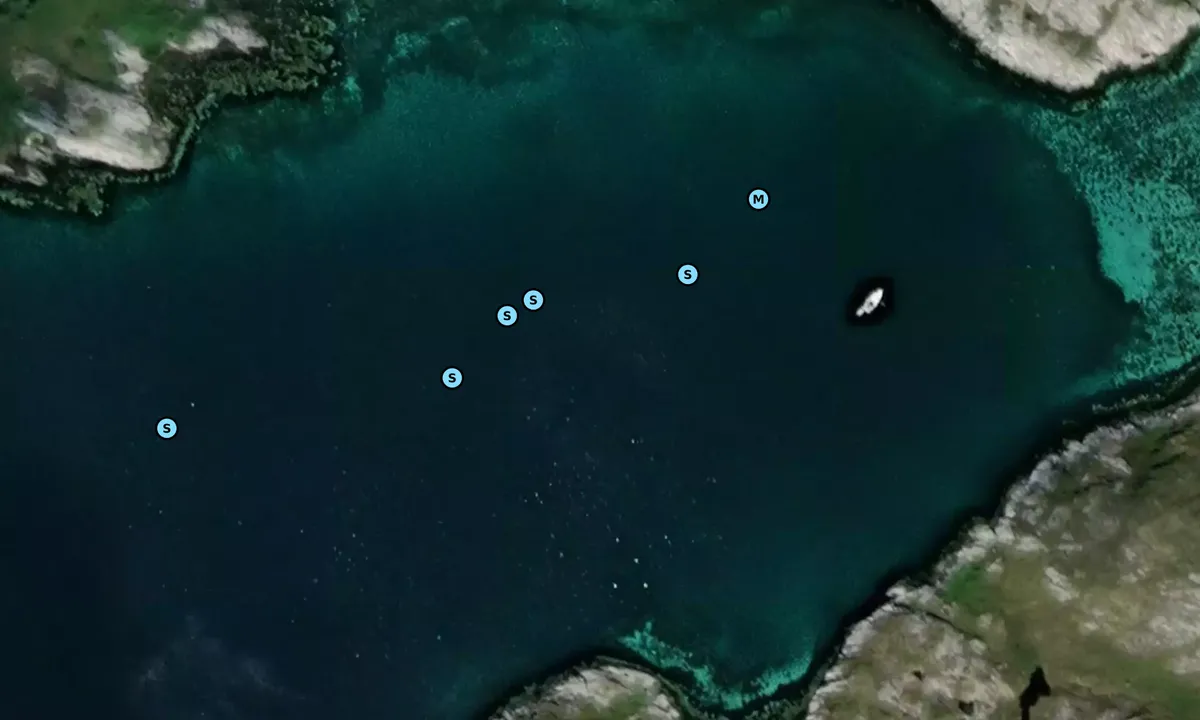 Satelite image of Selvågen