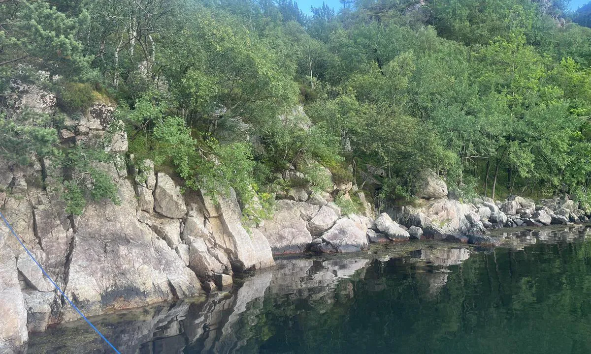 Selvikvåg