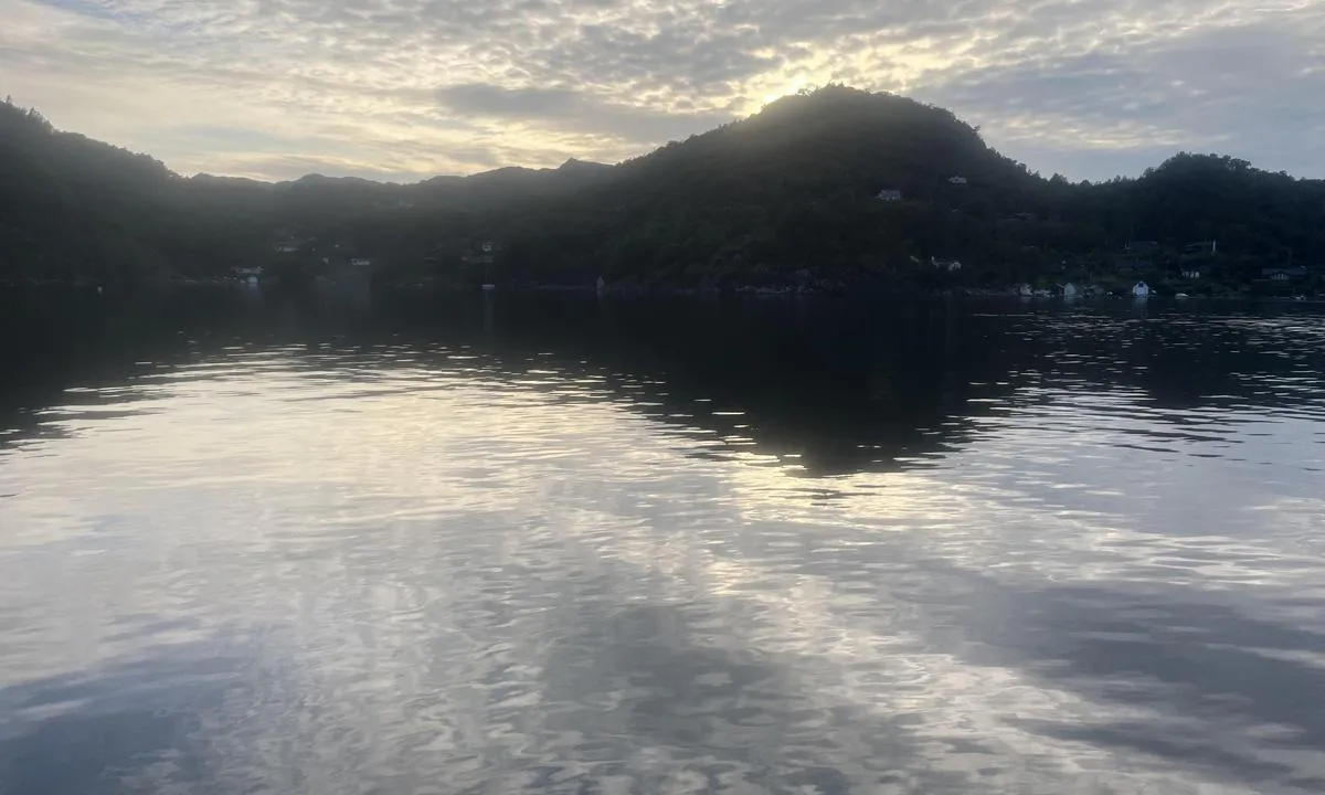 Selvikvåg: {"base": "no", "no": "Ogs\u00e5 mulig \u00e5 legge til p\u00e5 nordsiden", "se": "Ocks\u00e5 m\u00f6jligt att l\u00e4gga till p\u00e5 norra sidan", "en": "Also possible to dock on the north side", "da": "Ogs\u00e5 muligt at l\u00e6gge til p\u00e5 nordsiden"}
