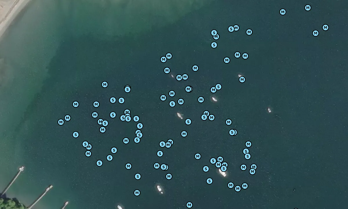 Satelite image of Sequim Bay