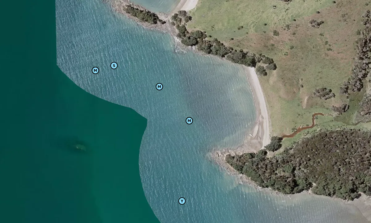 Satelite image of Shark Bay - Clevedon