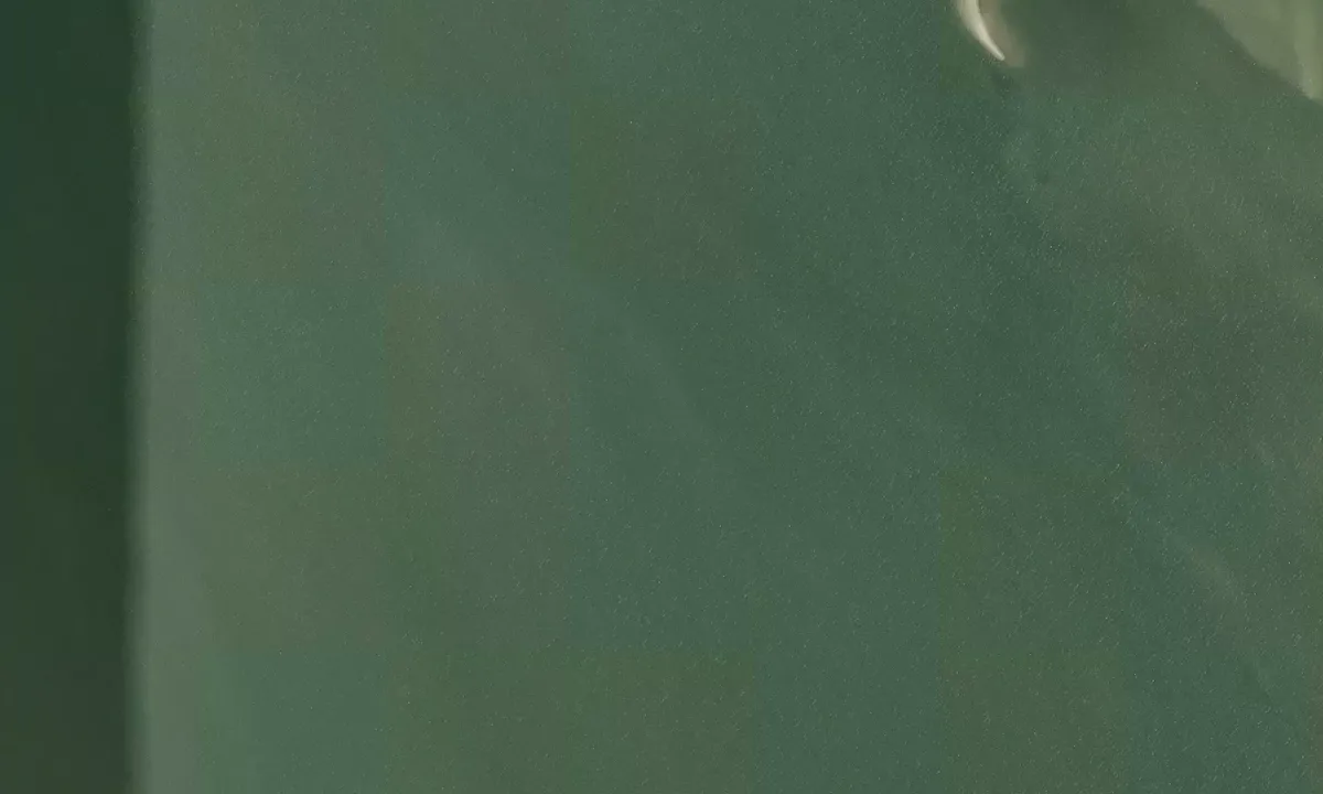 Satelite image of Shark Tooth Island