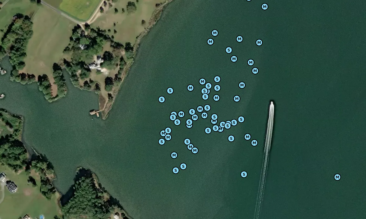 Satelite image of Sharp Point