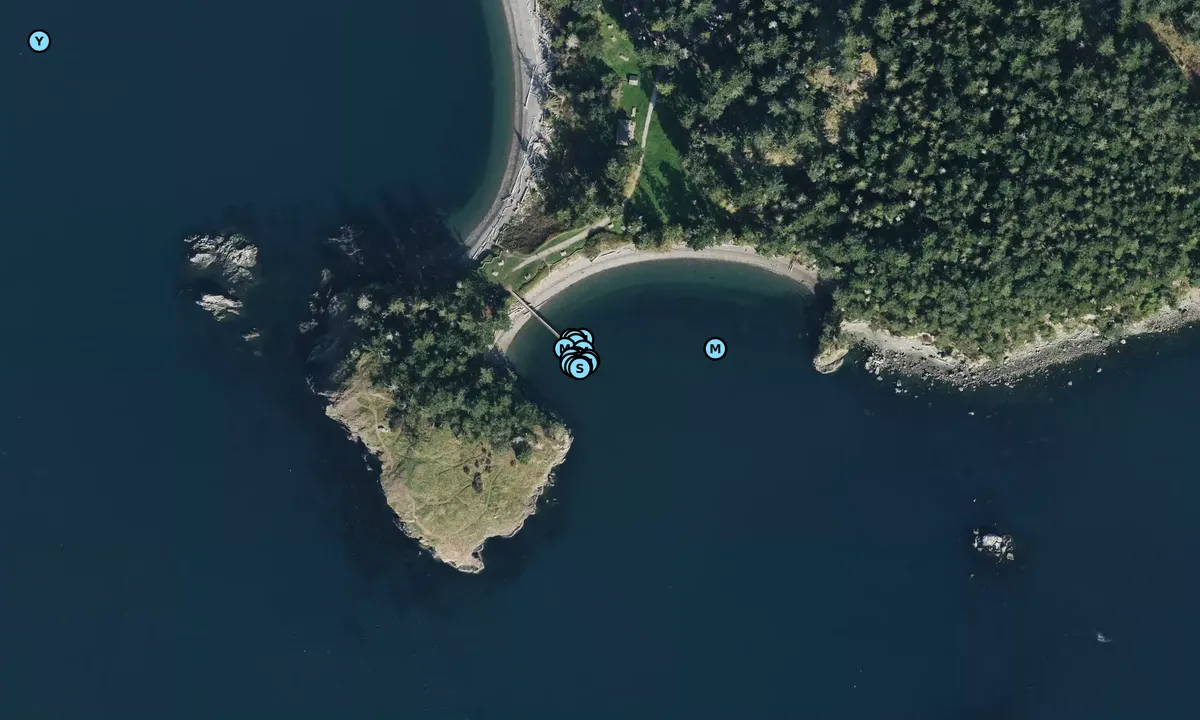 Satelite image of Sharpe Cove