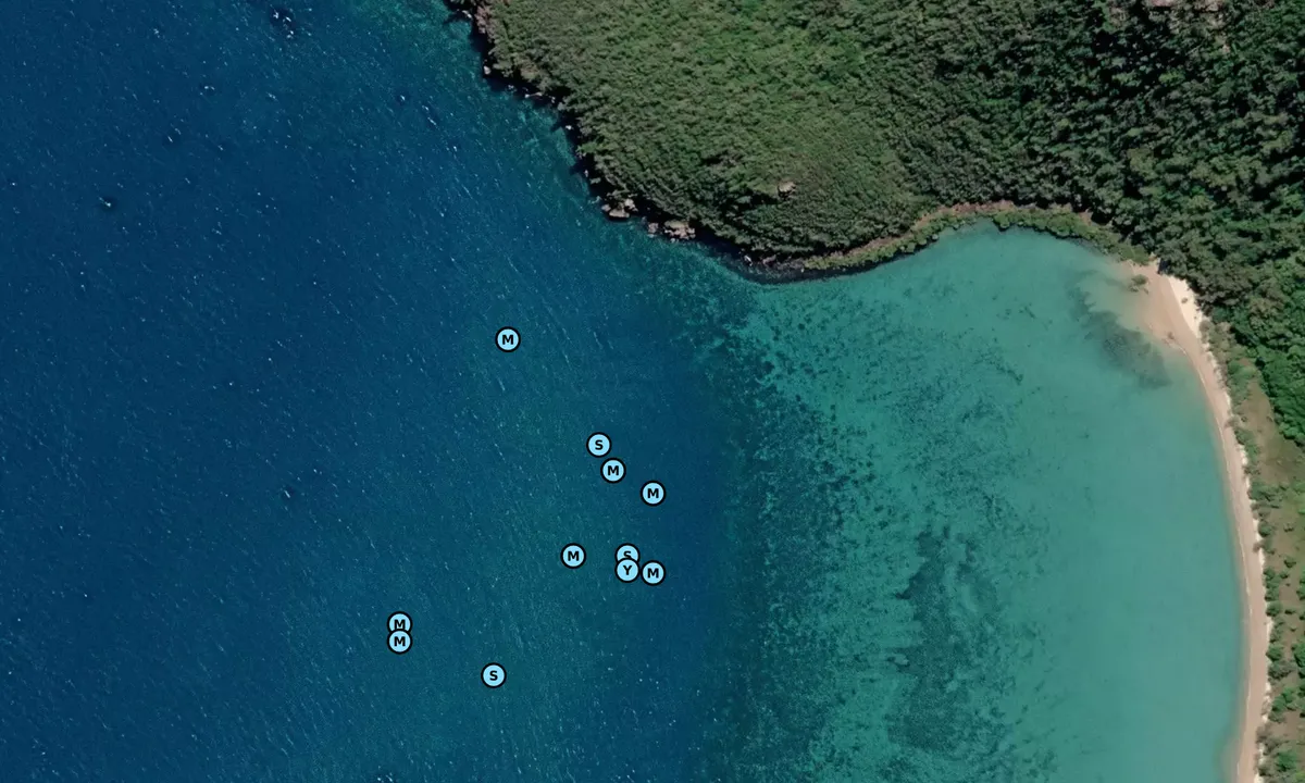Satelite image of Shaw Island Reef