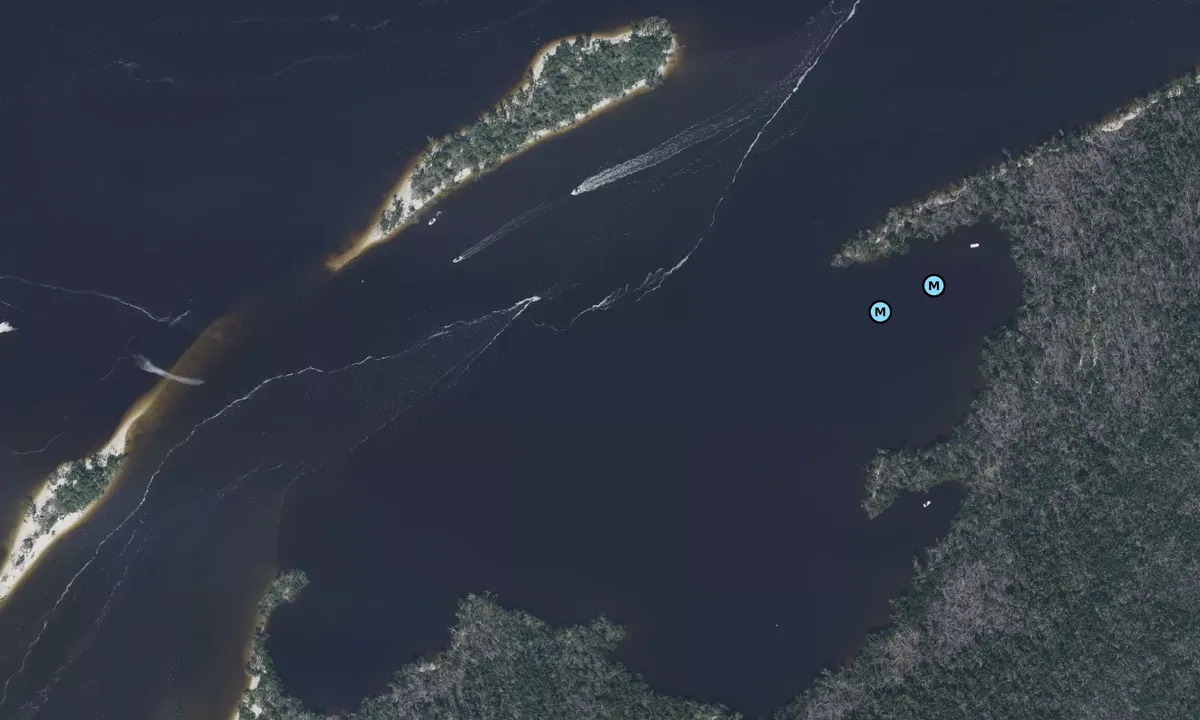 Satelite image of Shell Point