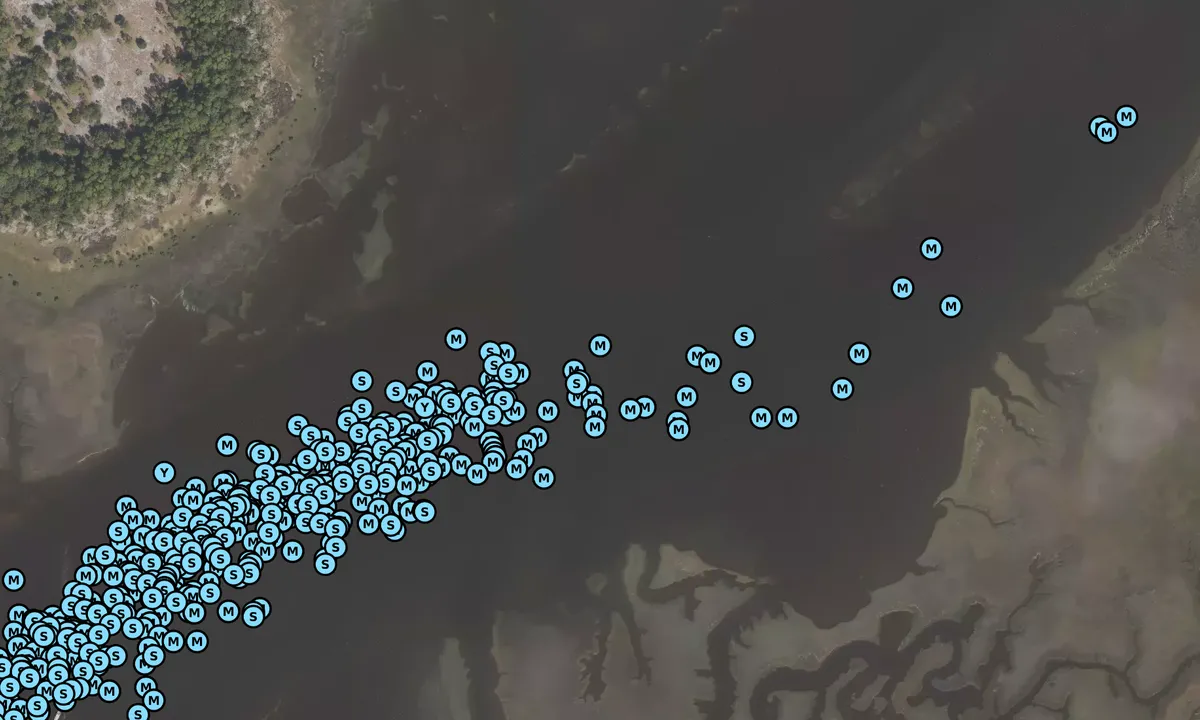 Satelite image of Shoaling
