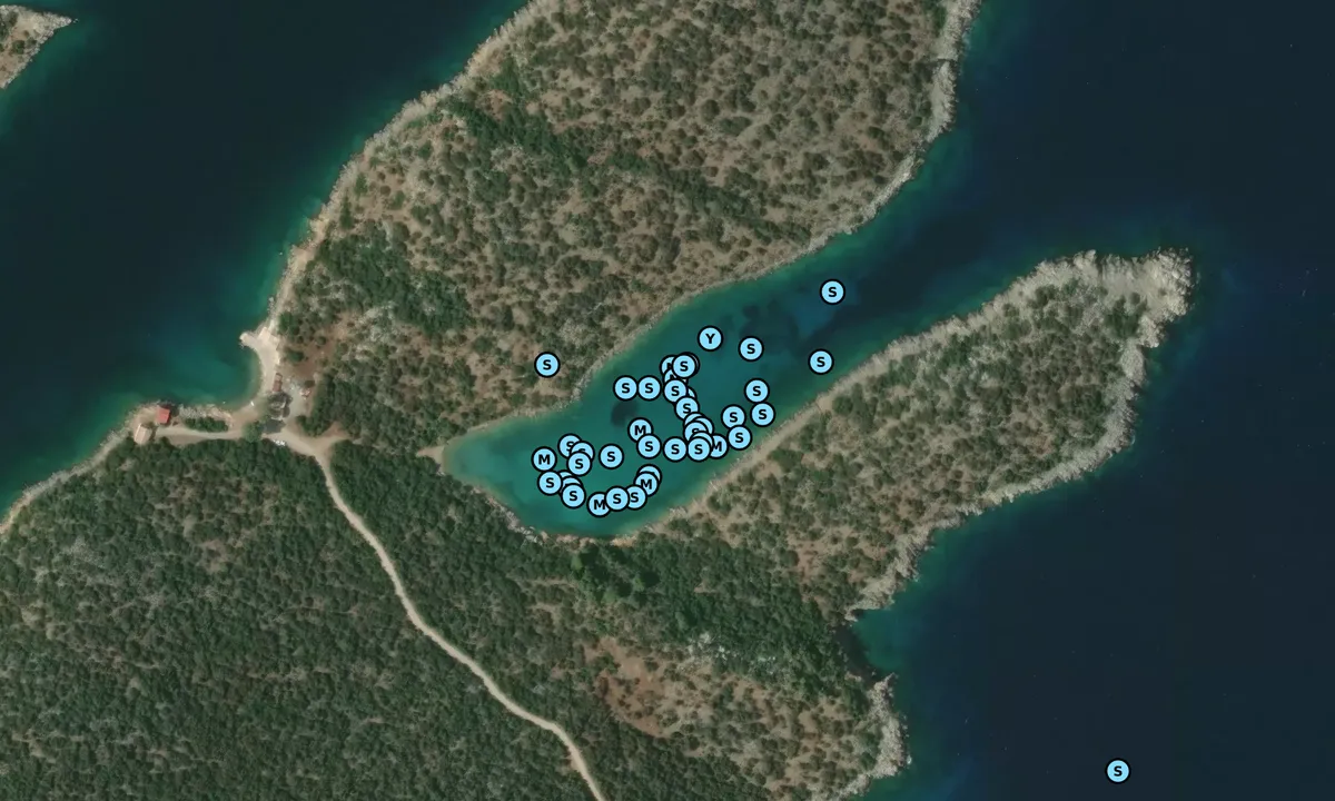 Satelite image of Shoebill Bay