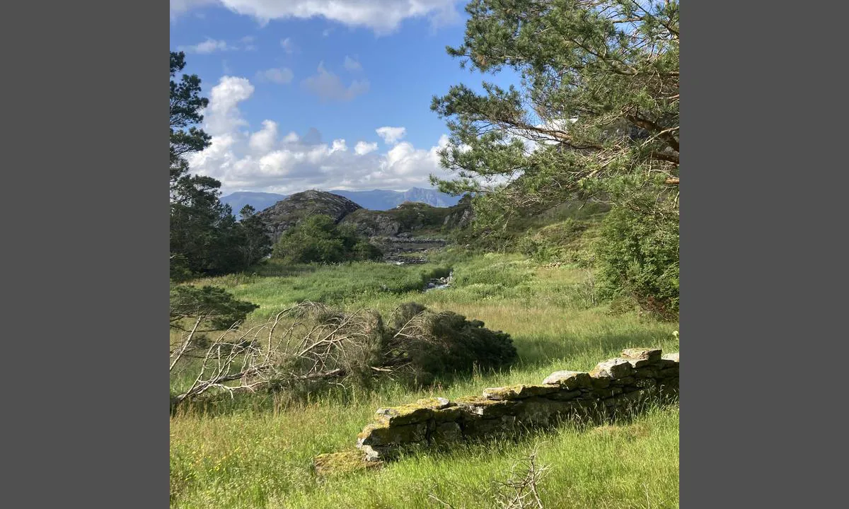 {"base": "en", "no": "Gikk en tur rundt Silda - nydelig liten fottur", "se": "Tagit en promenad runt Silda - vacker liten vandring", "en": "Taken on a walk around the Silda - beautiful little hike", "da": "Taget p\u00e5 en g\u00e5tur omkring Silda - en smuk lille vandretur", "fr": "Prenez une promenade autour de Silda - une belle petite randonn\u00e9e", "de": "Auf einem Spaziergang rund um Silda - ein wundersch\u00f6ner kleiner Wanderweg", "es": "Paseo por Silda - hermosa caminata", "it": "Fatto una passeggiata intorno alla Silda - bellissima piccola escursione", "pt": "Feito uma caminhada ao redor do Silda - uma pequena e bela trilha", "nl": "Een wandeling gemaakt rond de Silda - prachtige kleine wandeling", "pl": "Wybrano si\u0119 na spacer wok\u00f3\u0142 Sildy - pi\u0119kna ma\u0142a w\u0119dr\u00f3wka", "uk": "\u041f\u0440\u043e\u0433\u0443\u043b\u044f\u043d\u043a\u0430 \u043d\u0430\u0432\u043a\u043e\u043b\u043e \u0421\u0456\u043b\u0434\u0430 - \u043f\u0440\u0435\u043a\u0440\u0430\u0441\u043d\u0438\u0439 \u043c\u0430\u043b\u0435\u043d\u044c\u043a\u0438\u0439 \u043f\u043e\u0445\u0456\u0434", "ro": "F\u0103cut\u0103 o plimbare \u00een jurul Silda - o mic\u0103 drume\u021bie frumoas\u0103", "tr": "Silda \u00e7evresinde y\u00fcr\u00fcy\u00fc\u015f - g\u00fczel bir k\u00fc\u00e7\u00fck y\u00fcr\u00fcy\u00fc\u015f", "el": "\u039b\u03ae\u03c8\u03b7 \u03c3\u03b5 \u03ad\u03bd\u03b1\u03bd \u03c0\u03b5\u03c1\u03af\u03c0\u03b1\u03c4\u03bf \u03b3\u03cd\u03c1\u03c9 \u03b1\u03c0\u03cc \u03c4\u03b7 \u03a3\u03af\u03bb\u03bd\u03c4\u03b1 - \u03c0\u03b1\u03bd\u03ad\u03bc\u03bf\u03c1\u03c6\u03b7 \u03bc\u03b9\u03ba\u03c1\u03ae \u03c0\u03b5\u03b6\u03bf\u03c0\u03bf\u03c1\u03af\u03b1", "cs": "Vzal/a na proch\u00e1zku kolem Sildy - kr\u00e1sn\u00e1 mal\u00e1 t\u00fara", "hu": "S\u00e9ta a Sild\u00e1n - gy\u00f6ny\u00f6r\u0171 kis t\u00fara", "fi": "K\u00e4velty kierros Sildan ymp\u00e4ri - kaunis pieni patikointi", "bg": "\u0420\u0430\u0437\u0445\u043e\u0434\u043a\u0430 \u043e\u043a\u043e\u043b\u043e \u0421\u0438\u043b\u0434\u0430 - \u043a\u0440\u0430\u0441\u0438\u0432\u0430 \u043c\u0430\u043b\u043a\u0430 \u0440\u0430\u0437\u0445\u043e\u0434\u043a\u0430", "sr": "\u0160etnja oko Silda - predivna mala tura", "et": "Jalutusk\u00e4ik \u00fcmber Silda - kaunis v\u00e4ike matkarada", "lv": "Pa\u0146emts pastaig\u0101 pa Silda - skaista neliela p\u0101rg\u0101jiena", "lt": "Pasivaik\u0161\u010diojimas aplink Silda - gra\u017eus ma\u017eas \u017eygis"}