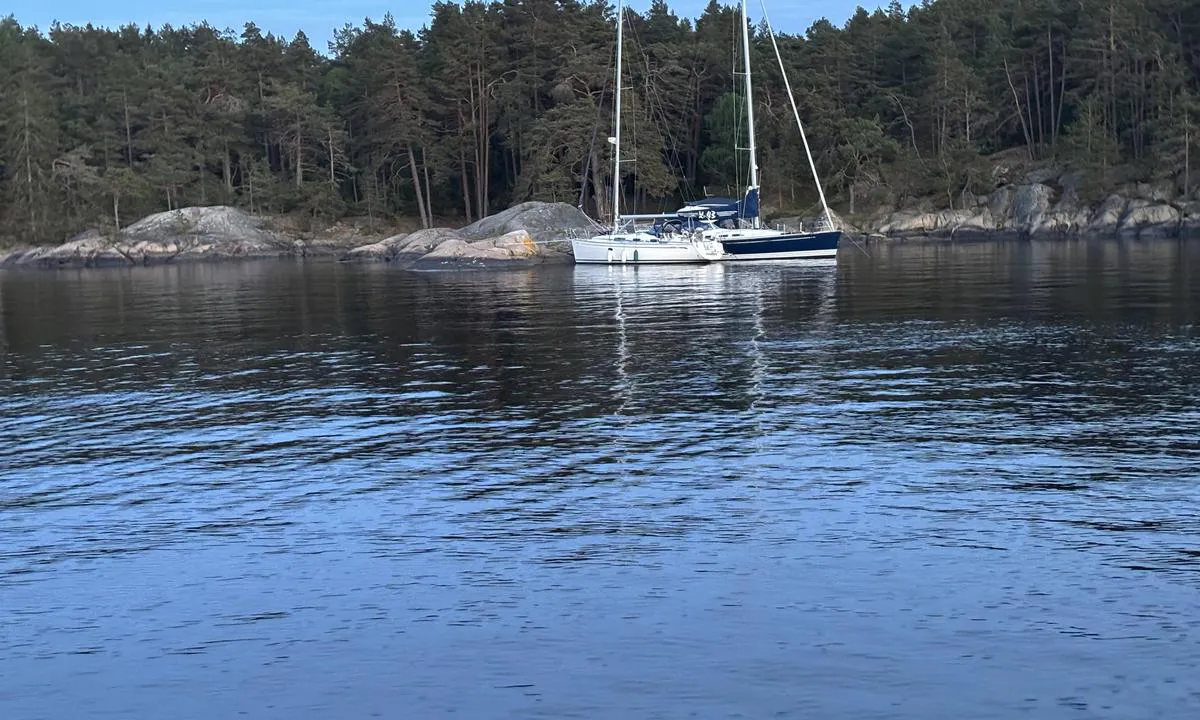 Singløya Nord Øst: {"base": "se", "no": "S\u00f8r/strand", "se": "Mot syd/strand", "en": "Towards south/beach", "da": "Mod syd/strand", "fr": "Vers le sud/plage", "de": "Nach S\u00fcd/Strand", "es": "Hacia el sur/costa", "it": "Verso sud/spiaggia", "pt": "Em dire\u00e7\u00e3o ao sul/praia", "nl": "Tegen het zuiden/strand", "pl": "Na po\u0142udnie/brzeg", "uk": "\u041d\u0430 \u043f\u0456\u0432\u0434\u0435\u043d\u044c/\u0434\u043e \u0431\u0435\u0440\u0435\u0433\u0430", "ro": "Spre sud/\u021b\u0103rm", "tr": "G\u00fcney/k\u0131y\u0131ya do\u011fru", "el": "\u03a0\u03c1\u03bf\u03c2 \u03bd\u03cc\u03c4\u03bf/\u03c0\u03b1\u03c1\u03b1\u03bb\u03af\u03b1", "cs": "K jihu/pl\u00e1\u017ei", "hu": "D\u00e9l/sztrand fel\u00e9", "fi": "Kohti etel\u00e4\u00e4/rantaa", "bg": "\u041d\u0430 \u044e\u0433/\u0431\u0440\u044f\u0433", "sr": "Prema jugu/obali", "et": "L\u00f5una/j\u00f5ekallas", "lv": "Uz dienvidiem/krasta", "lt": "Piet\u0173 kryptimi/pakrant\u0117"}