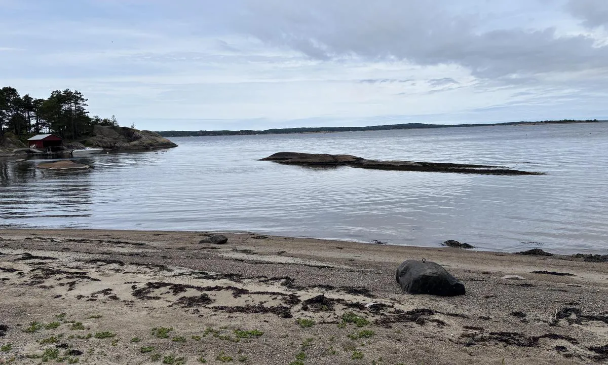 Singløya SV